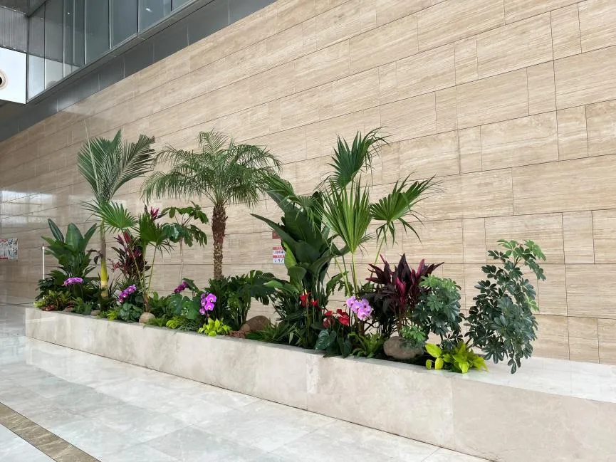 探寻宁波奉化盆景出租价格的奥秘